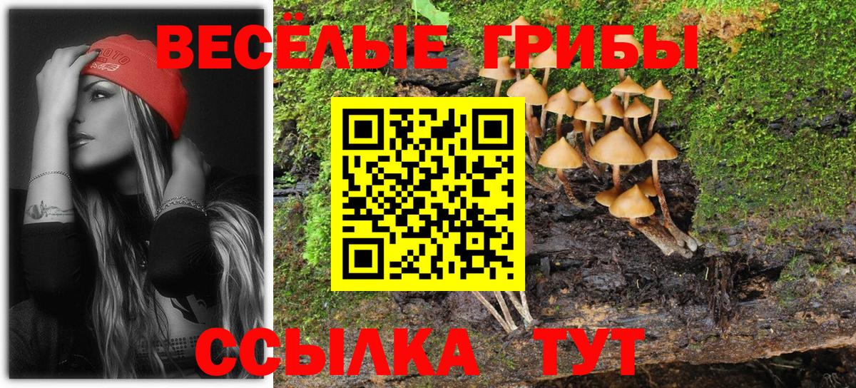 Нижний Тагил  Галлюциногенные грибы мицелий  наркота  Вход с VPN 